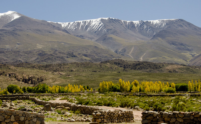 AGENCIA CHAKU AVENTURAS