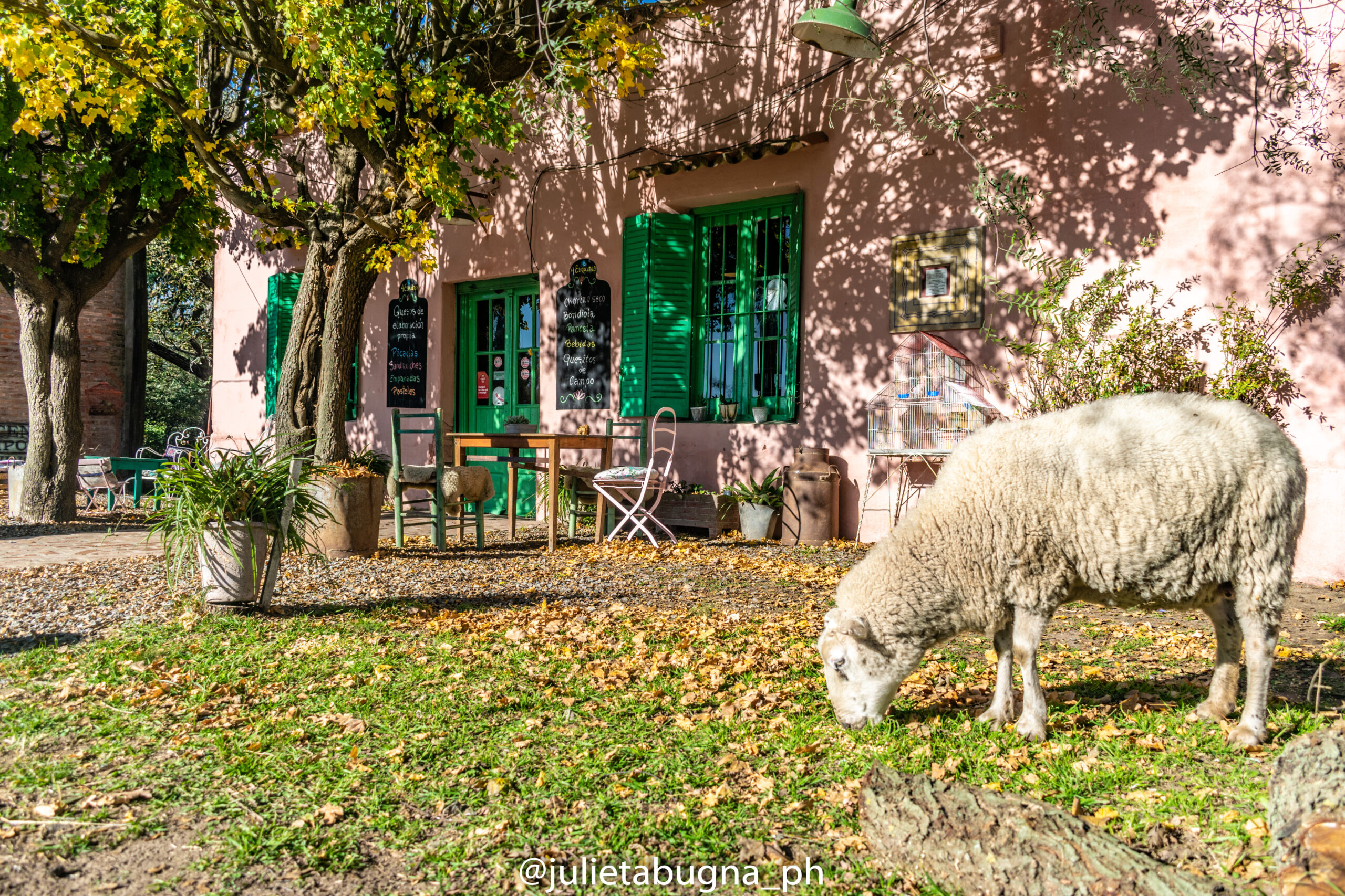 ALMACEN DE CAMPO Y TAMBO "4 ESQUINAS"